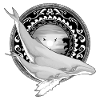 Humpback Whale Hawaiian