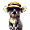 Australia Koala Bear
