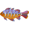 Poisson
