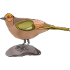 Oiseau