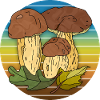 Fungi