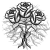 Crosses Pattern Cross Rose Plants