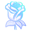 Fleur de rose bleu