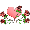 Rose Fleurs Plantes Coeur Rouge
