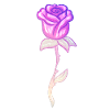 purple plant flower rose glitter