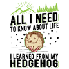 Igel Geschenk Stacheligel