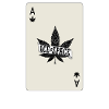 Ace of Space Weed