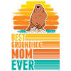 Murmeltier Maman Marmotte Maman Woodchuck