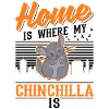 Home where my chinchilla is