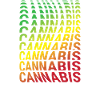 cannabis cannabis rasta