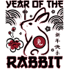 Year of the rabbit chinese new year zodiacs fun