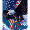 American Christmas White-tailed Eagle with