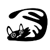 Crooked cat