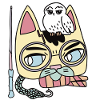 chat