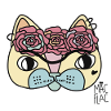 eyebrow cat