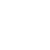 Elegant old water turtle