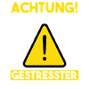 Programmieren Entwickler Coder Programmierer