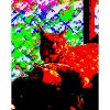 Luchs