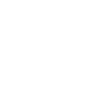 Wolf - white