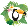 Jungle Toucan