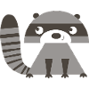 Raccoon