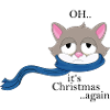 Chat oh son Noël