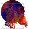 Space Fish