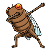 Dabbing Cicada Insect Entomology Entomologist