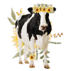 Holstein Kuh mit Blumen - Sonnenblumen