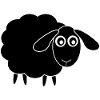 black sheep sheep
