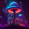 Pilz4