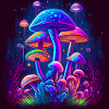 Pilz5