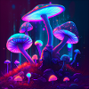 Pilz2