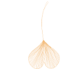 Heart flower petal