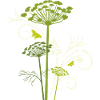 Silhouette aus blühendem Fenchel