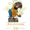 L’ara bleu et jaune