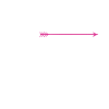 Archery Archer