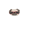 Pug