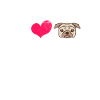 Pug