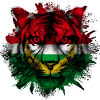 Arab Maghreb Union