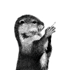 Otter
