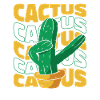 Cactus Garden