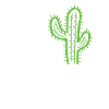 Cactus Garden