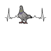 Deaf heartbeat pigeon fancier