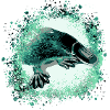 Platypus,schnabeltier,graffiti,malerei