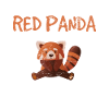 Anatomia del panda rosso di uno zoologo scientifico del panda rosso