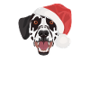 Joyeux Noël dalmate