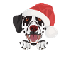 Joyeux Noël dalmate