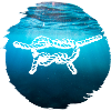 Sea Water Beach