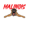 Malinois Belgian Shepherd Mechelaar Dog